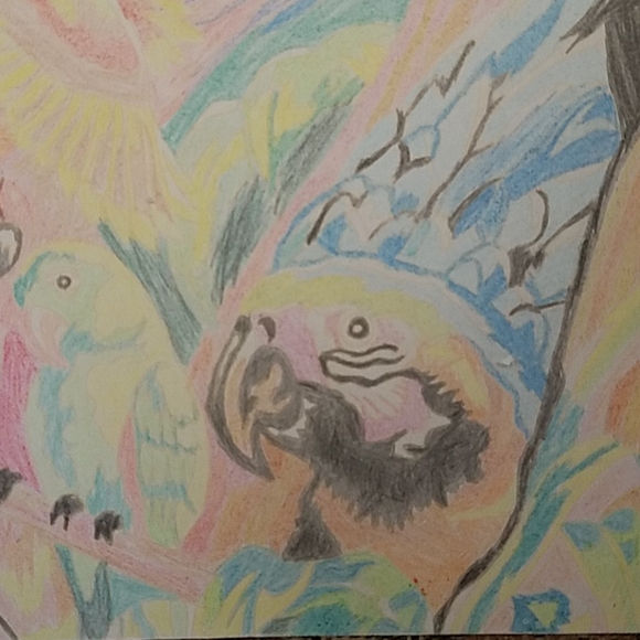 Original Parrots Birds colored pencil Drawing - Picture 7 of 8